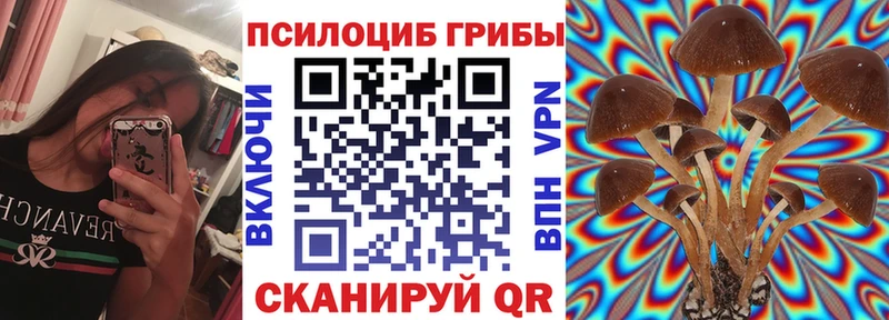 Псилоцибиновые грибы прущие грибы  Себеж 